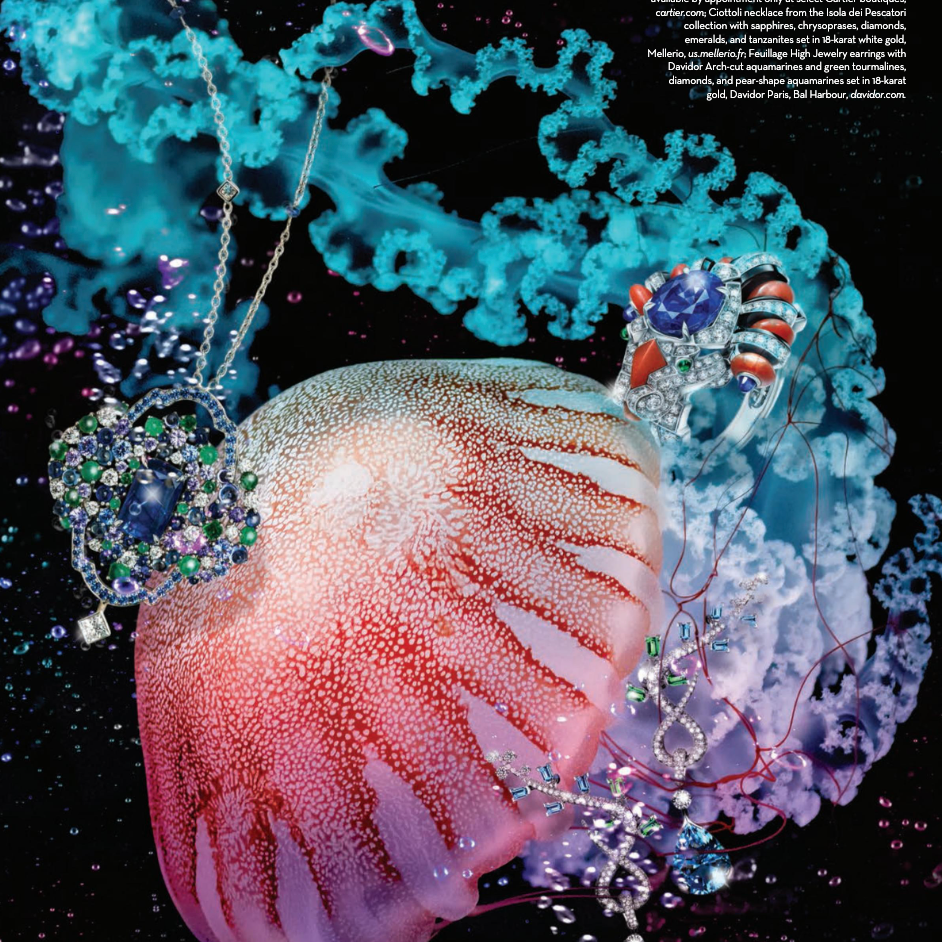 Palm Beach Charity Register 2025-2026