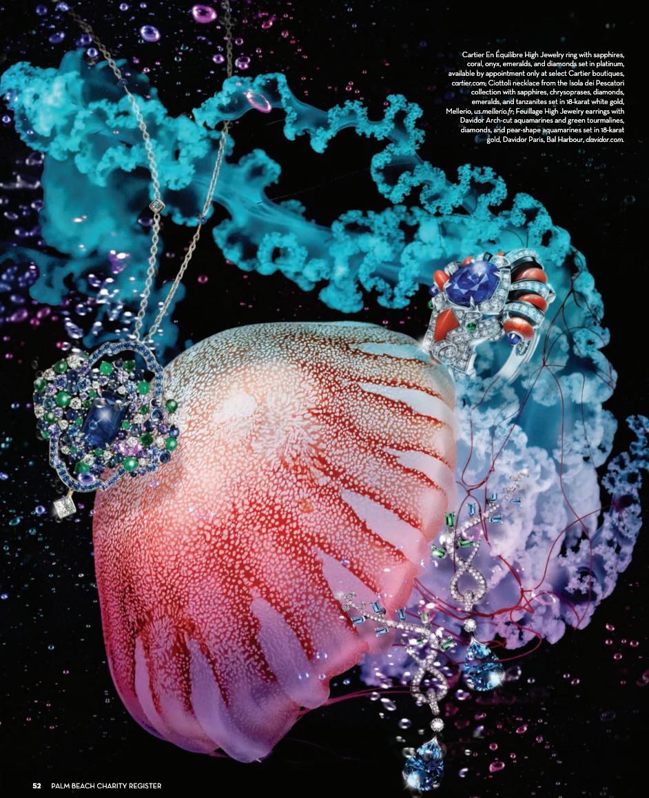 Palm Beach Charity Register 2025-2026