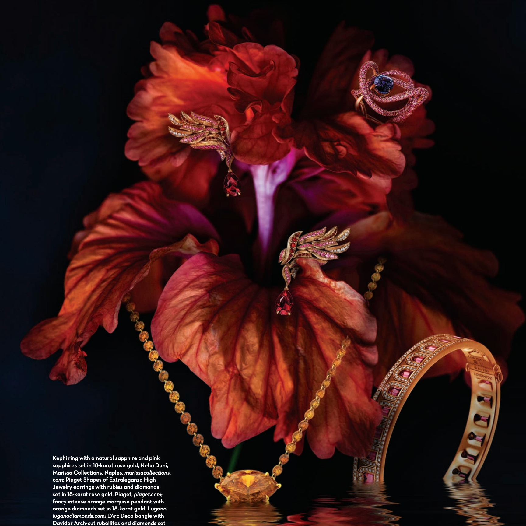 Aventura Magazine December 2025