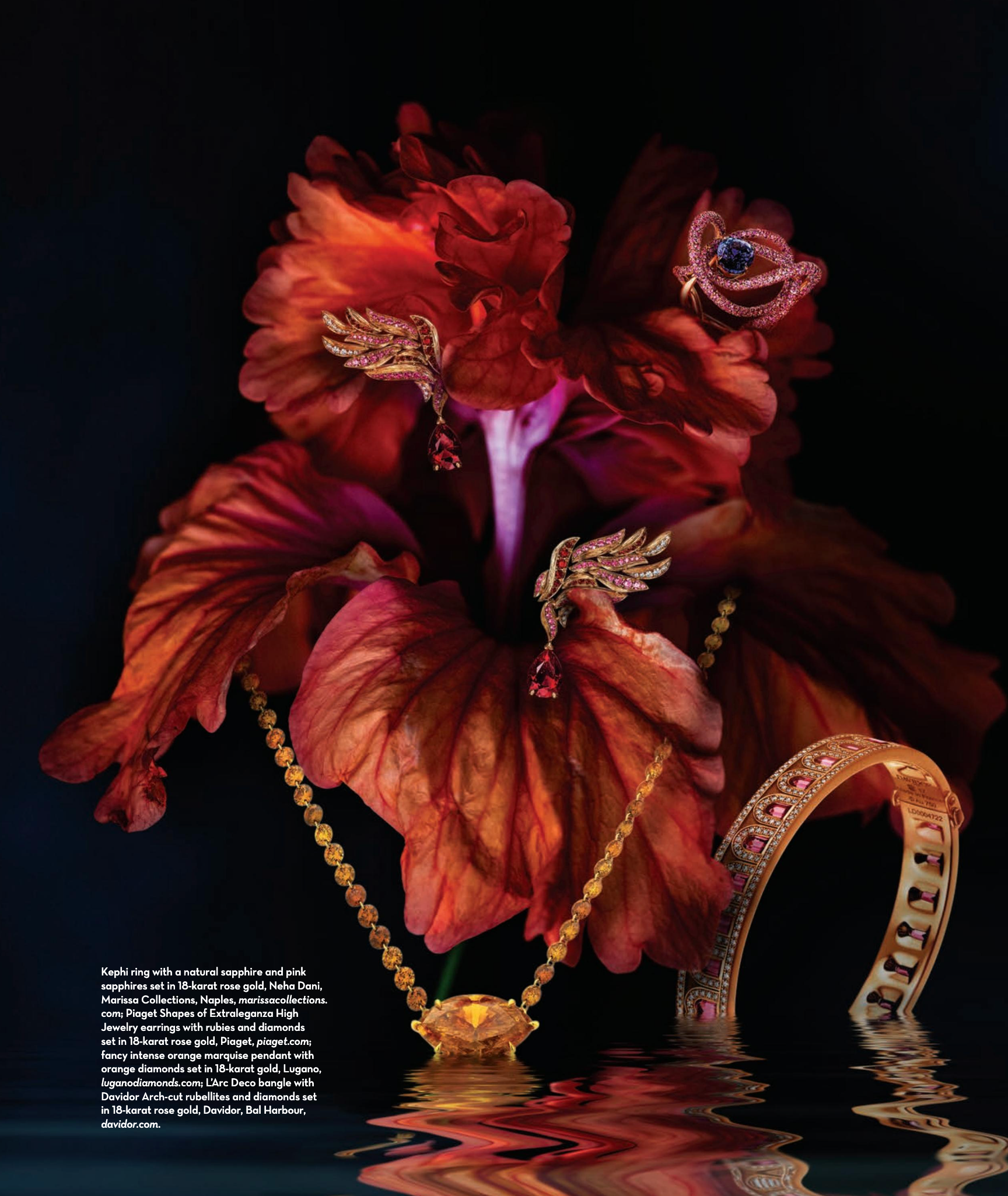 Aventura Magazine December 2025